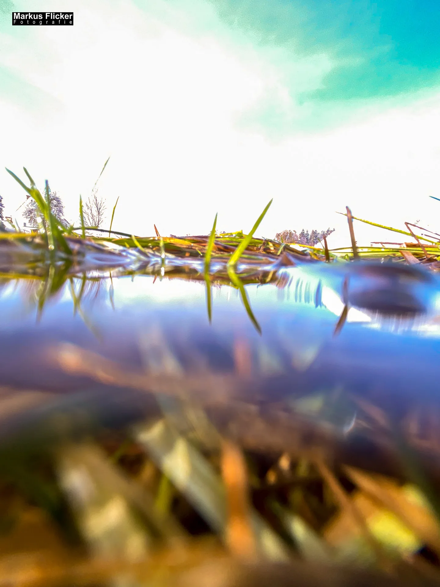 Winter Schnee Fotos Natur mit Smartphone oder Profi Kamera in der Steiermark Landschaftsfotos Österreich