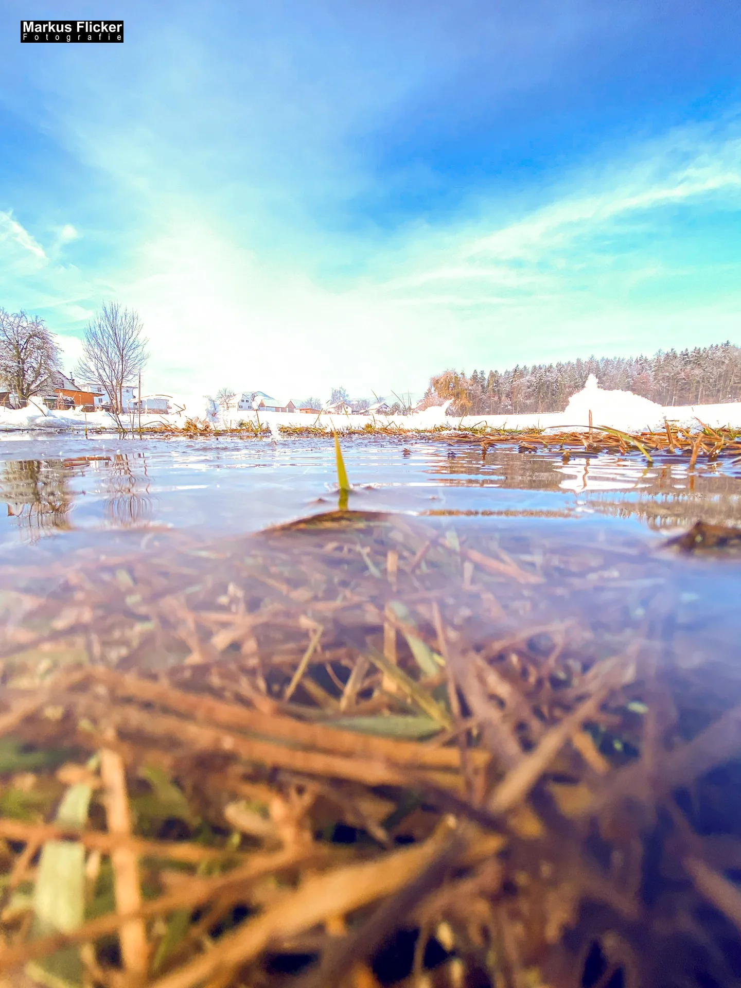 Winter Schnee Fotos Natur mit Smartphone oder Profi Kamera in der Steiermark Landschaftsfotos Österreich