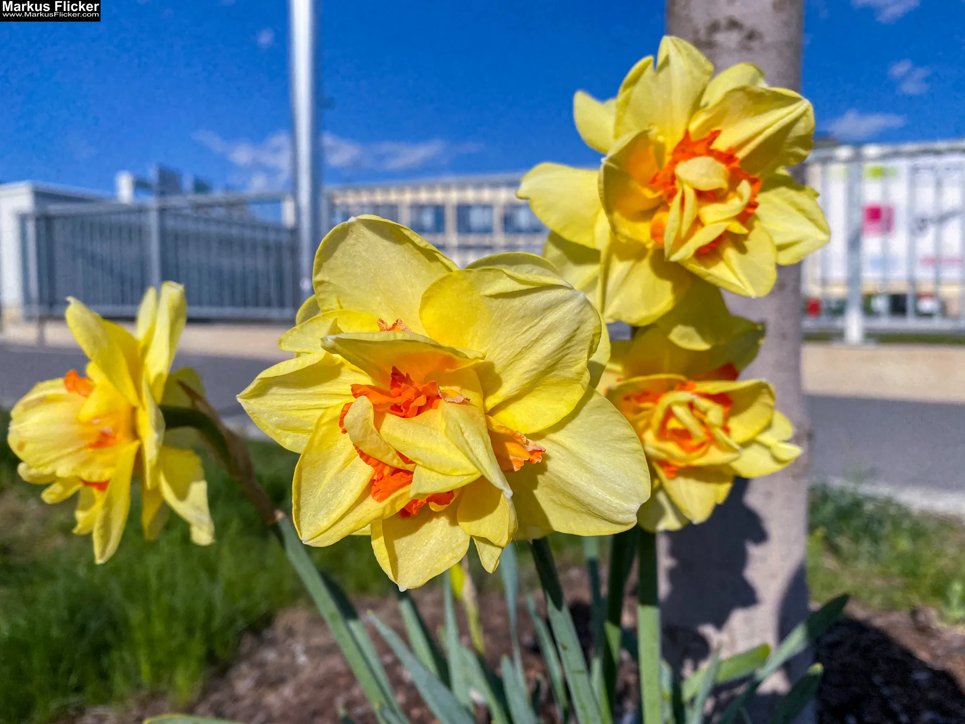 Fotospaziergang in der Stadt Urbane Entdeckungsreise kreativ mit dem Smartphone. Fotografieren und Filmen mit dem Smartphone: Bessere Fotos und Videos mit dem Handy für Freizeit, Hobby und Business