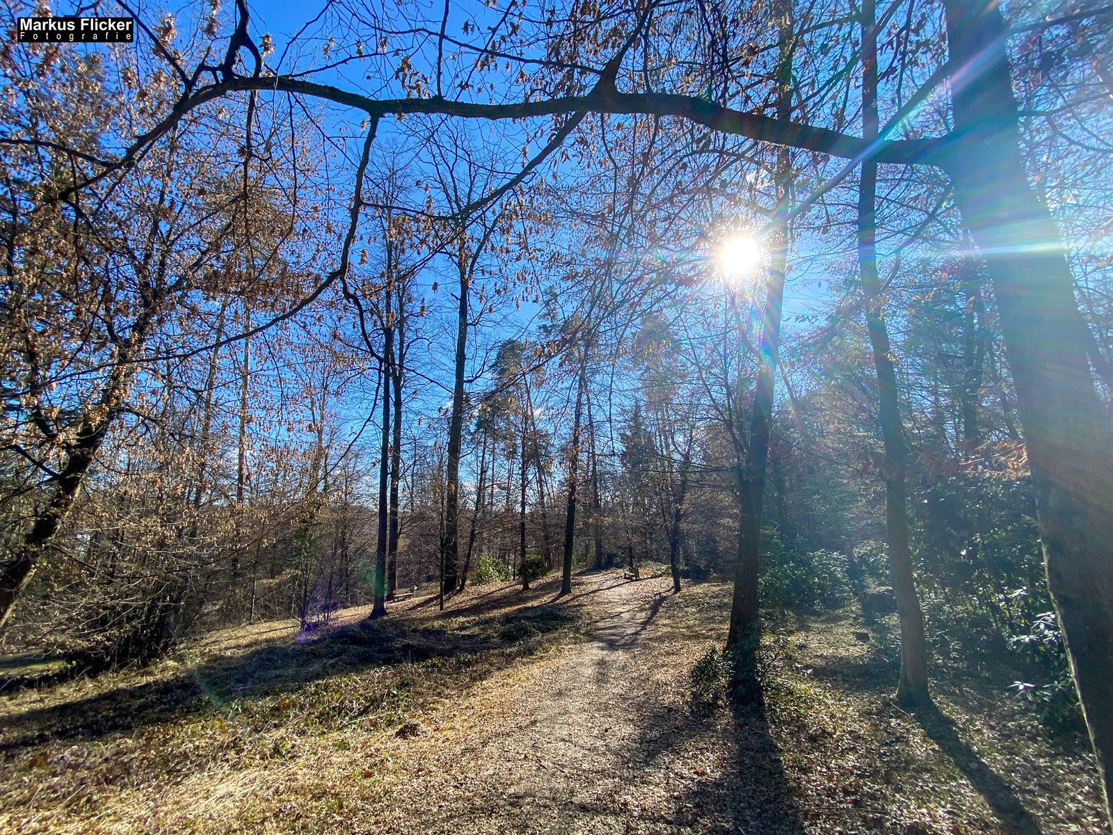 Hilmteich Hilmwarte Leechwald Landeshauptstadt Graz Steiermark
