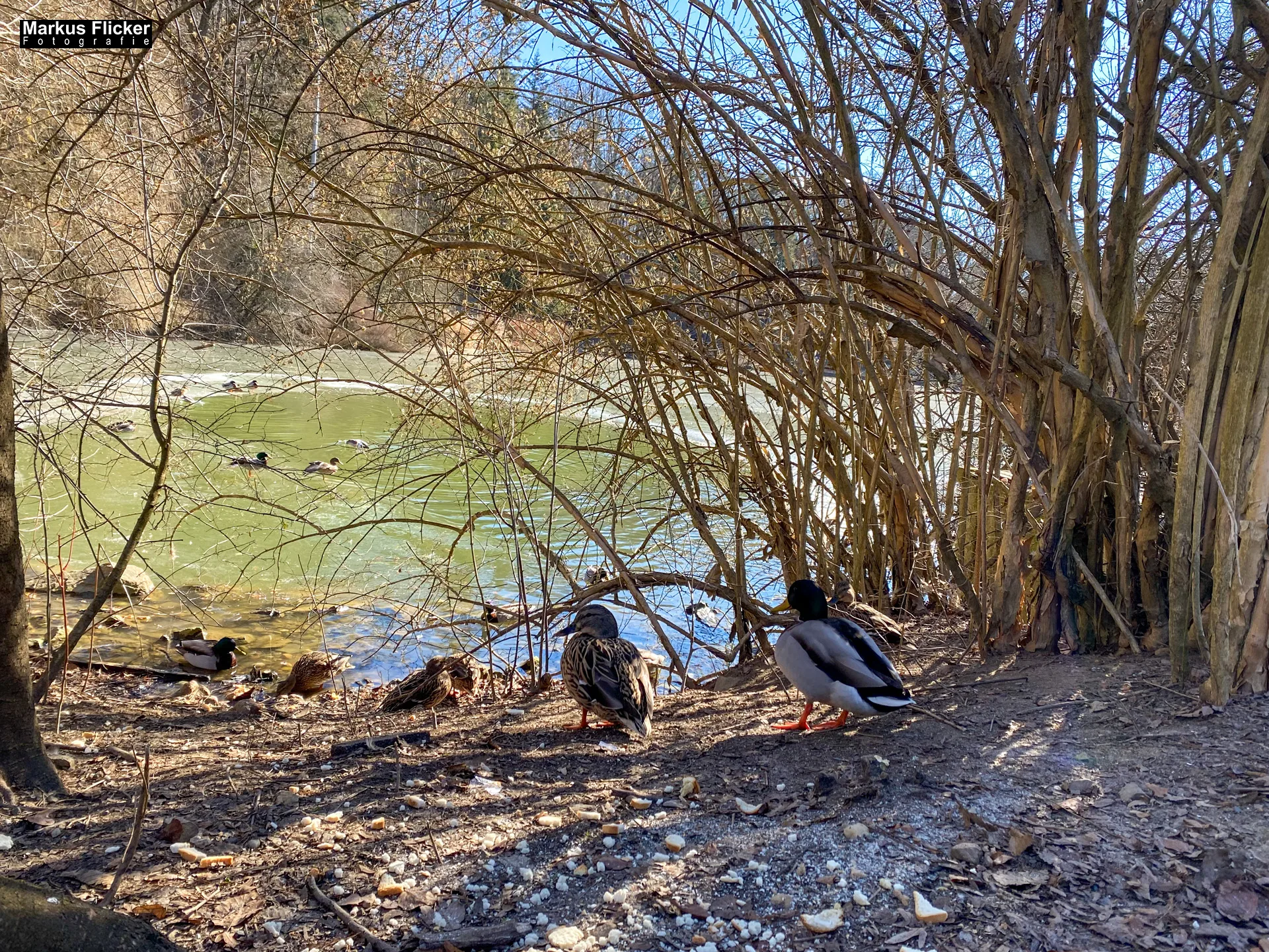 Hilmteich Hilmwarte Leechwald Landeshauptstadt Graz Steiermark