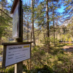 Grüner See und Kreuzteich Oberort Tragöß