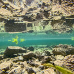 Grüner See und Kreuzteich Oberort Tragöß