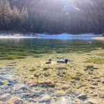 Grüner See und Kreuzteich Oberort Tragöß