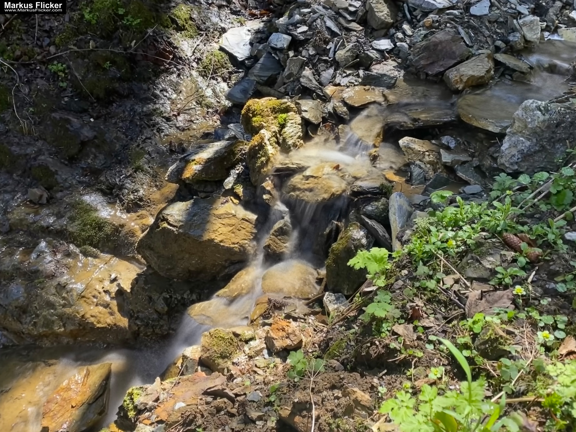 Genieße den wunderschönen Plankogel Rundwanderweg auf der Sommeralm im Almenland Steiermark Österreich bei einem entspannten Spaziergang mit dem Smartphone