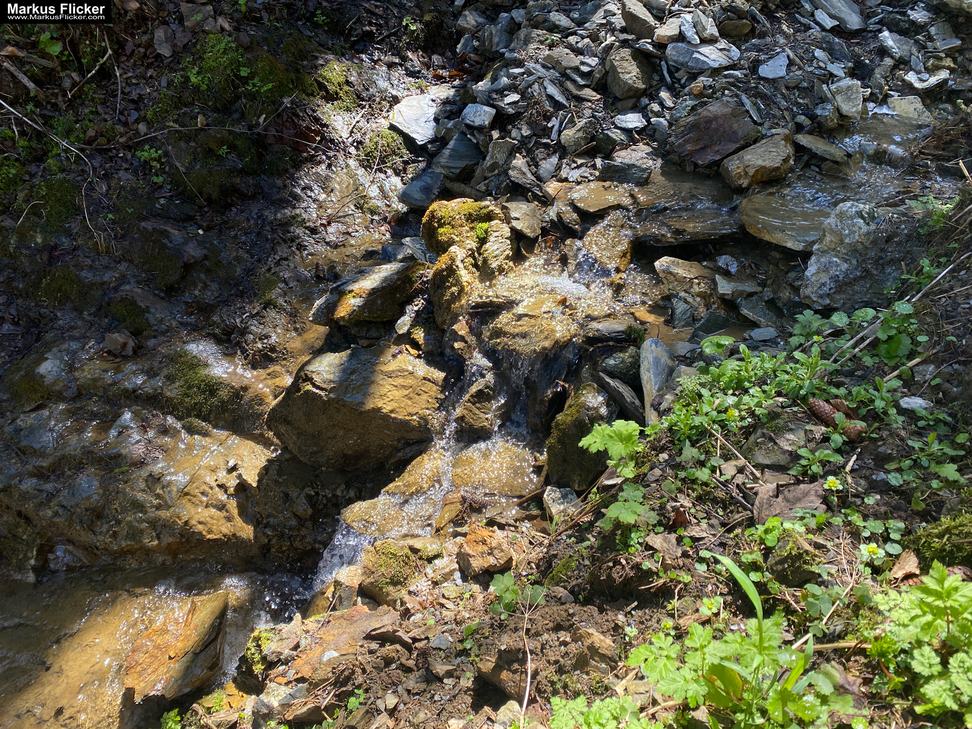 Genieße den wunderschönen Plankogel Rundwanderweg auf der Sommeralm im Almenland Steiermark Österreich bei einem entspannten Spaziergang mit dem Smartphone