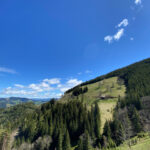 Genieße den wunderschönen Plankogl Rundwanderweg auf der Sommeralm im Almenland Steiermark Österreich bei einem entspannten Spaziergang mit dem Smartphone