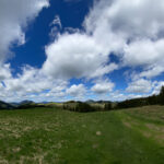 Genieße den wunderschönen Plankogl Rundwanderweg auf der Sommeralm im Almenland Steiermark Österreich bei einem entspannten Spaziergang mit dem Smartphone