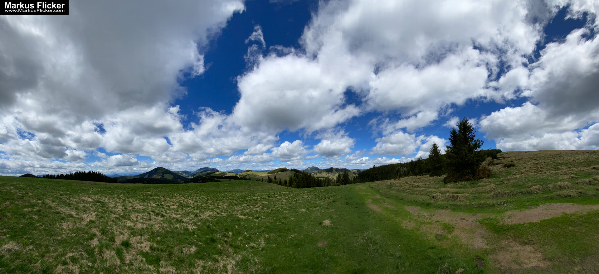 Genieße den wunderschönen Plankogel Rundwanderweg auf der Sommeralm im Almenland Steiermark Österreich bei einem entspannten Spaziergang mit dem Smartphone