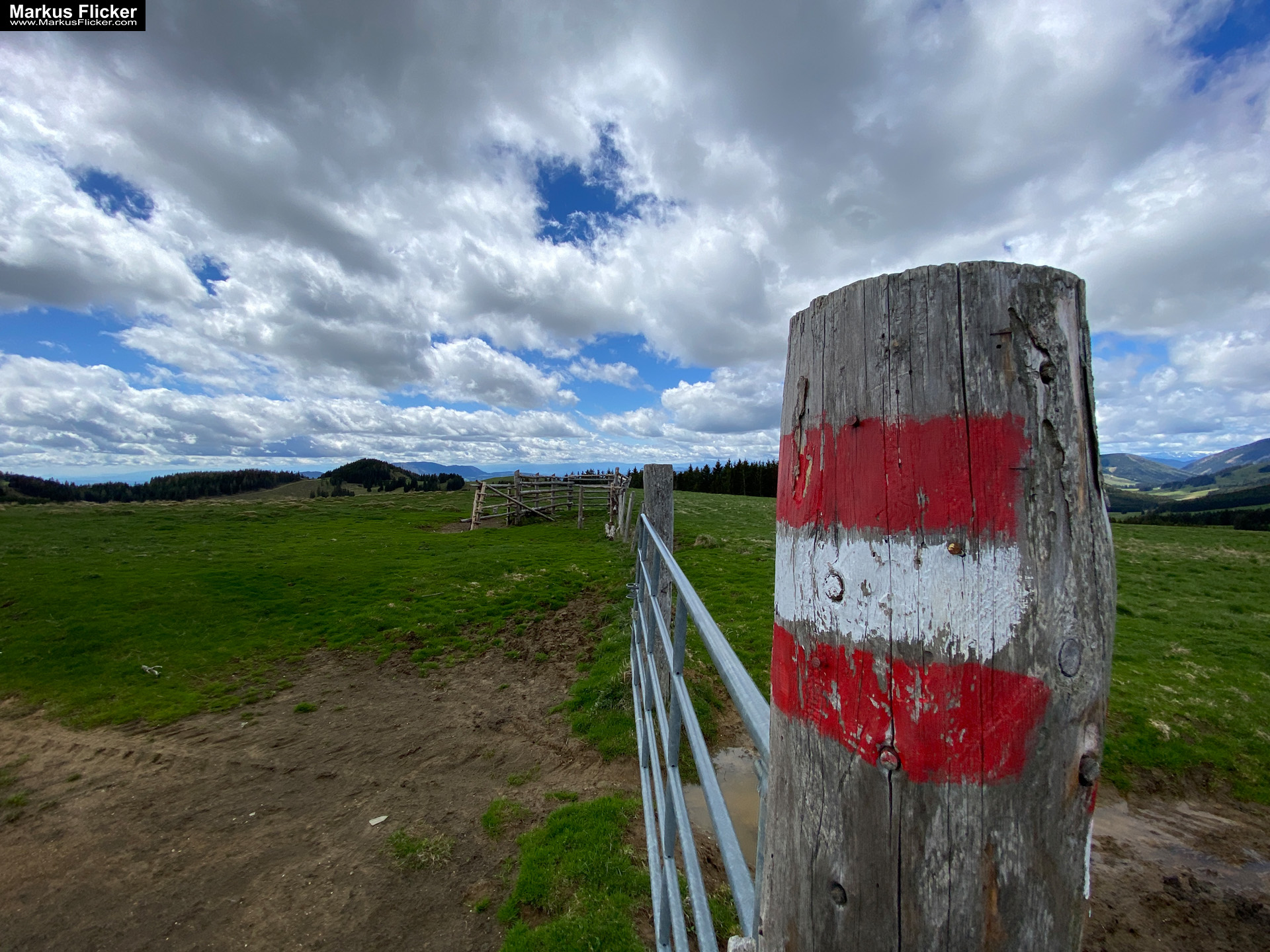 Genieße den wunderschönen Plankogel Rundwanderweg auf der Sommeralm im Almenland Steiermark Österreich bei einem entspannten Spaziergang mit dem Smartphone