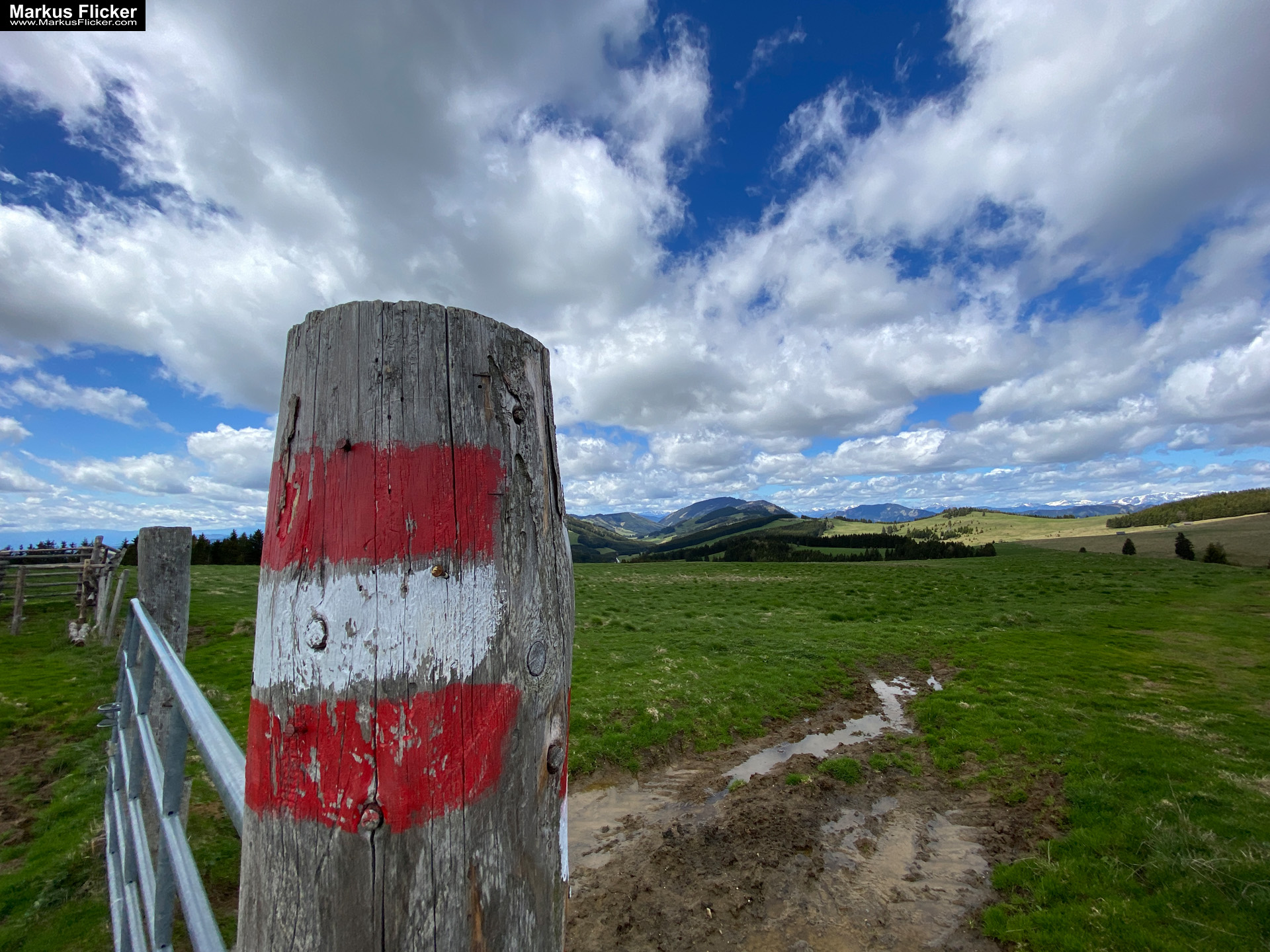 Genieße den wunderschönen Plankogel Rundwanderweg auf der Sommeralm im Almenland Steiermark Österreich bei einem entspannten Spaziergang mit dem Smartphone