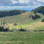 Genieße den wunderschönen Plankogl Rundwanderweg auf der Sommeralm im Almenland Steiermark Österreich bei einem entspannten Spaziergang mit dem Smartphone