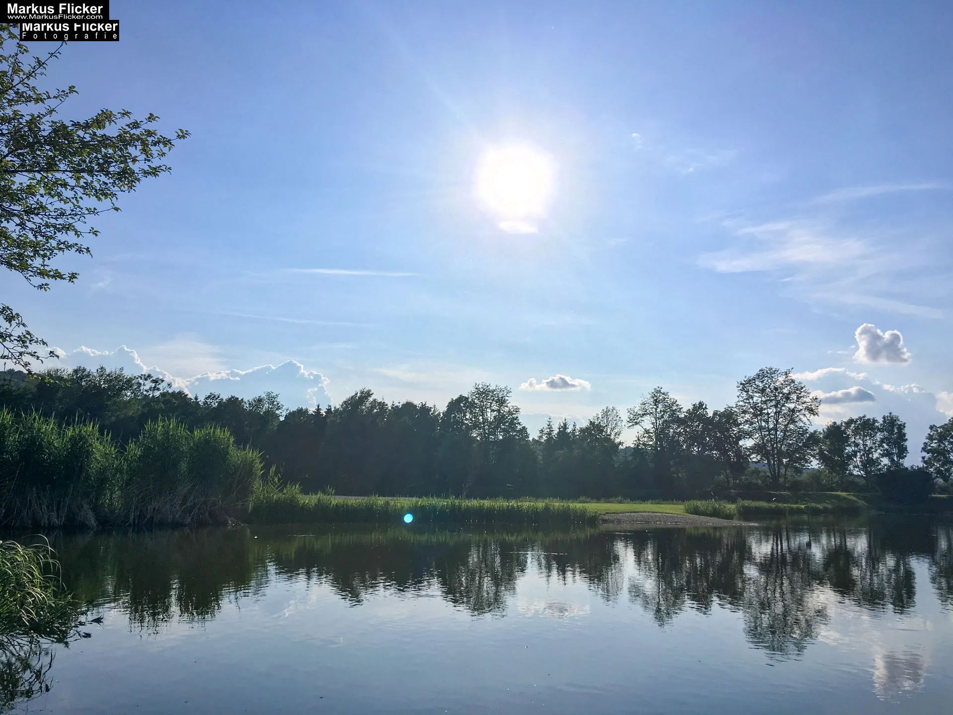 Freizeitzentrum Großsteinbach, Strandgut und Schachblume Steiermark Badesee