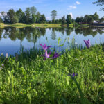 Freizeitzentrum Großsteinbach, Strandgut und Schachblume Steiermark Badesee