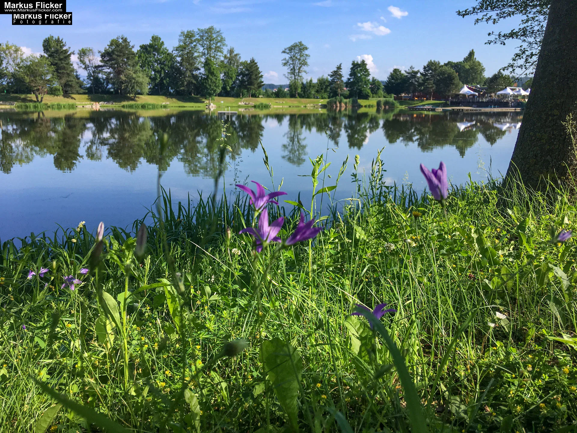 Freizeitzentrum Großsteinbach, Strandgut und Schachblume Steiermark Badesee
