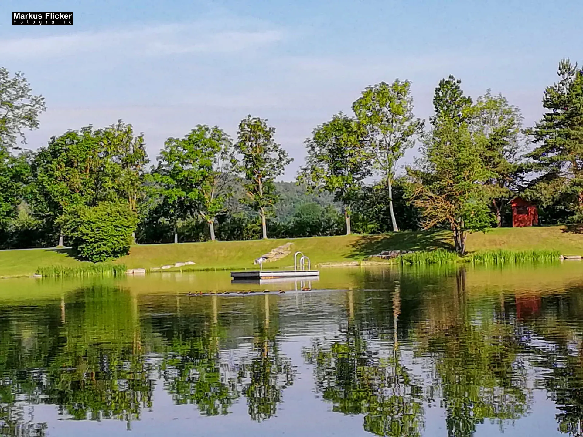 Freizeitzentrum Großsteinbach, Strandgut und Schachblume Steiermark Badesee