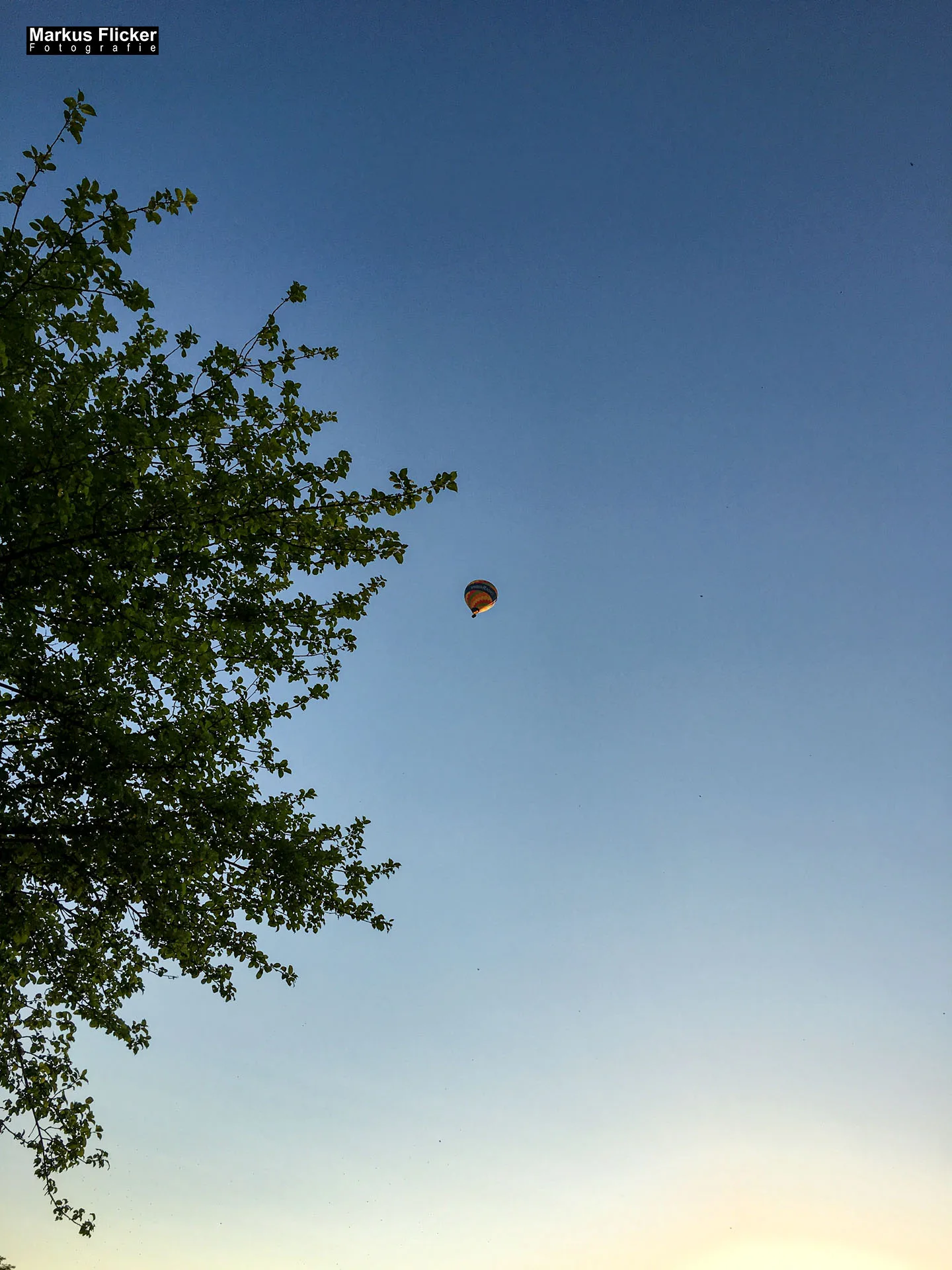 Freizeitzentrum Großsteinbach, Strandgut und Schachblume