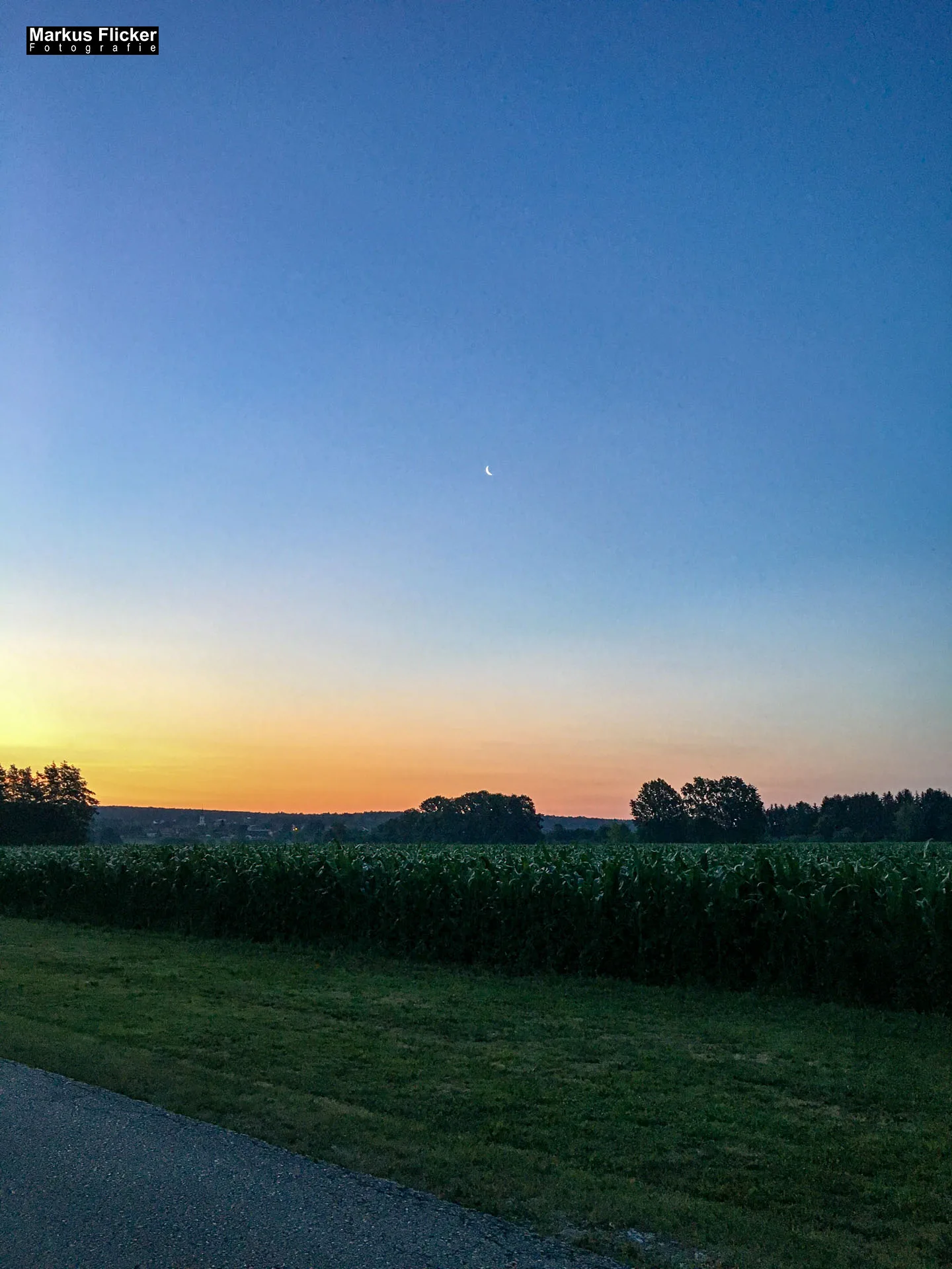 Freizeitzentrum Großsteinbach, Strandgut und Schachblume