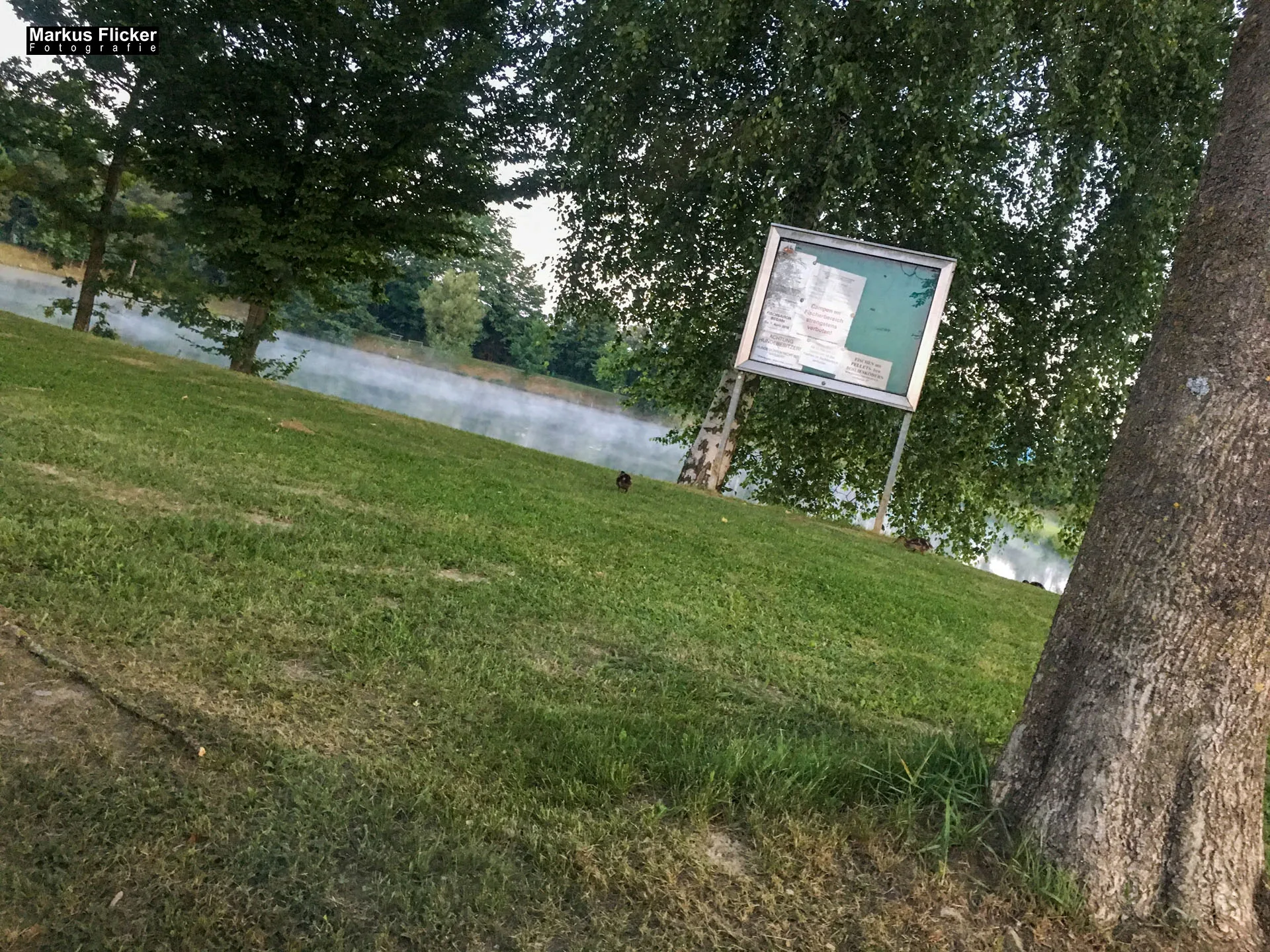 Freizeitzentrum Großsteinbach, Strandgut und Schachblume