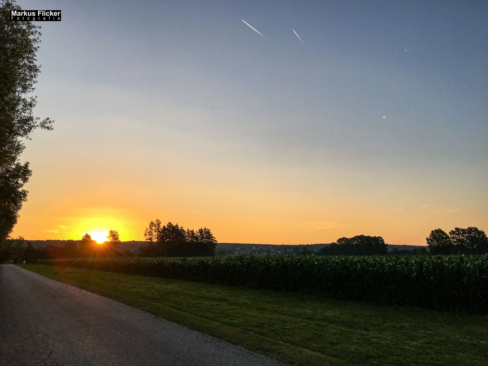 Freizeitzentrum Großsteinbach, Strandgut und Schachblume