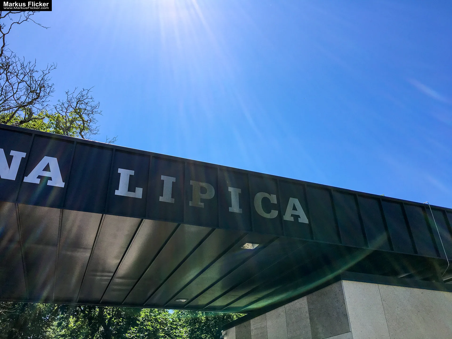 Gestüt Lipizza Kobilarna Lipica in Slowenien #visitslovenia Lipizzaner Pferde