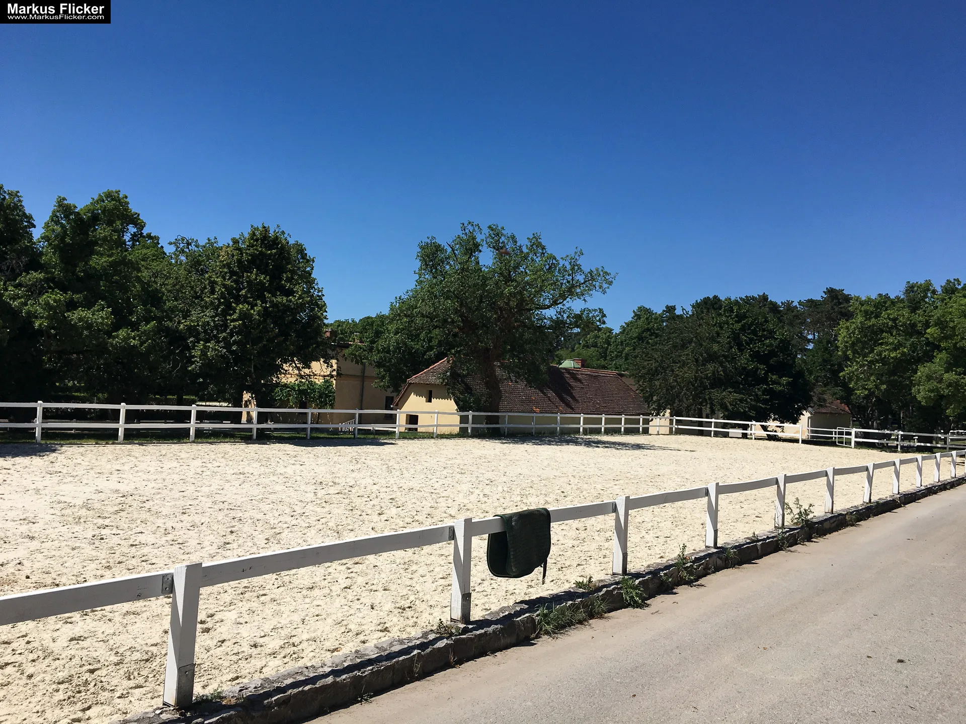 Gestüt Lipizza Kobilarna Lipica in Slowenien #visitslovenia Lipizzaner Pferde