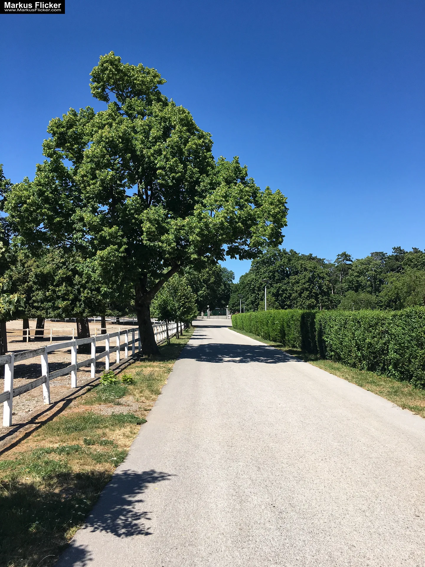 Gestüt Lipizza Kobilarna Lipica in Slowenien