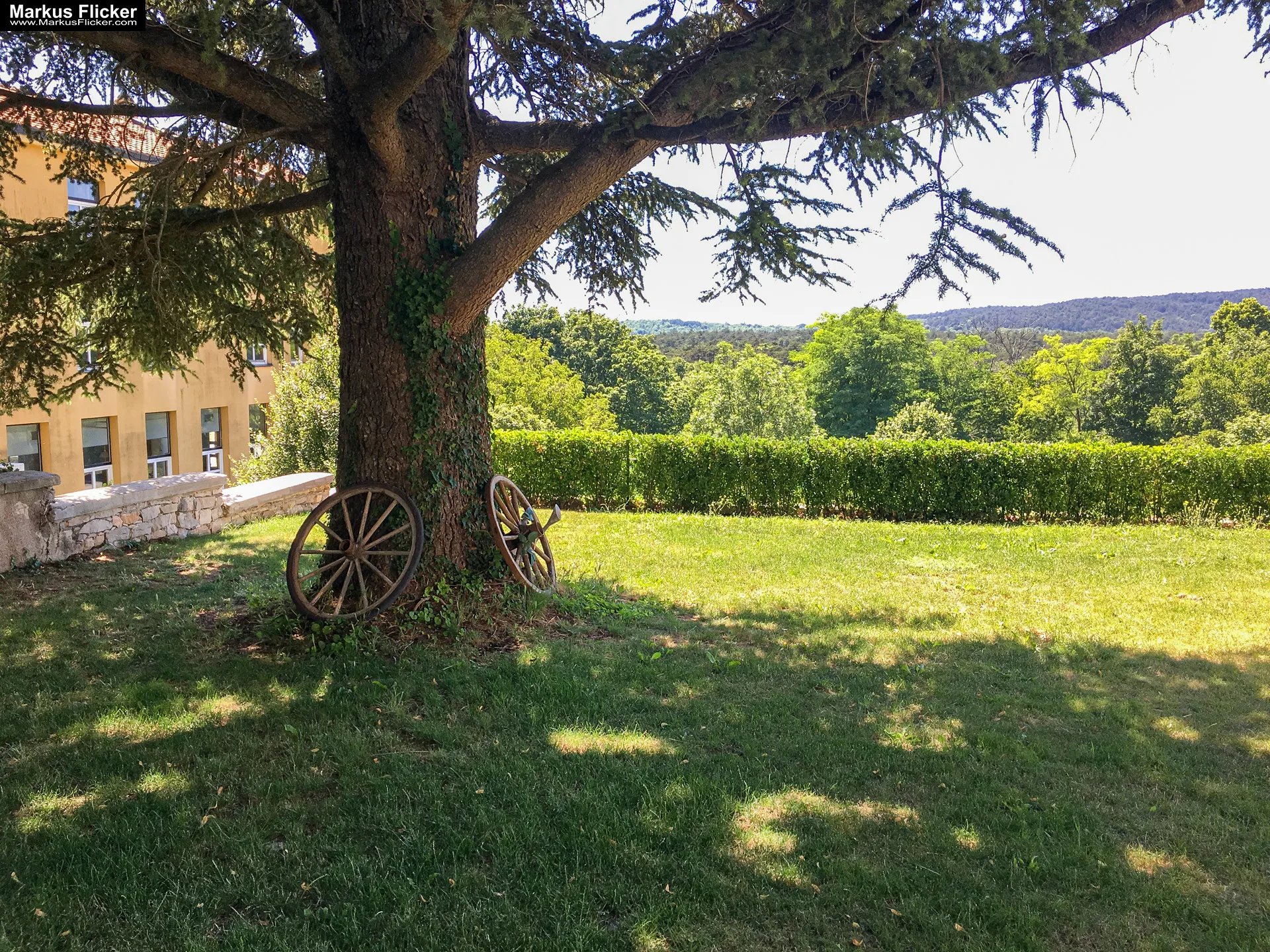 Gestüt Lipizza Kobilarna Lipica in Slowenien #visitslovenia Lipizzaner Pferde