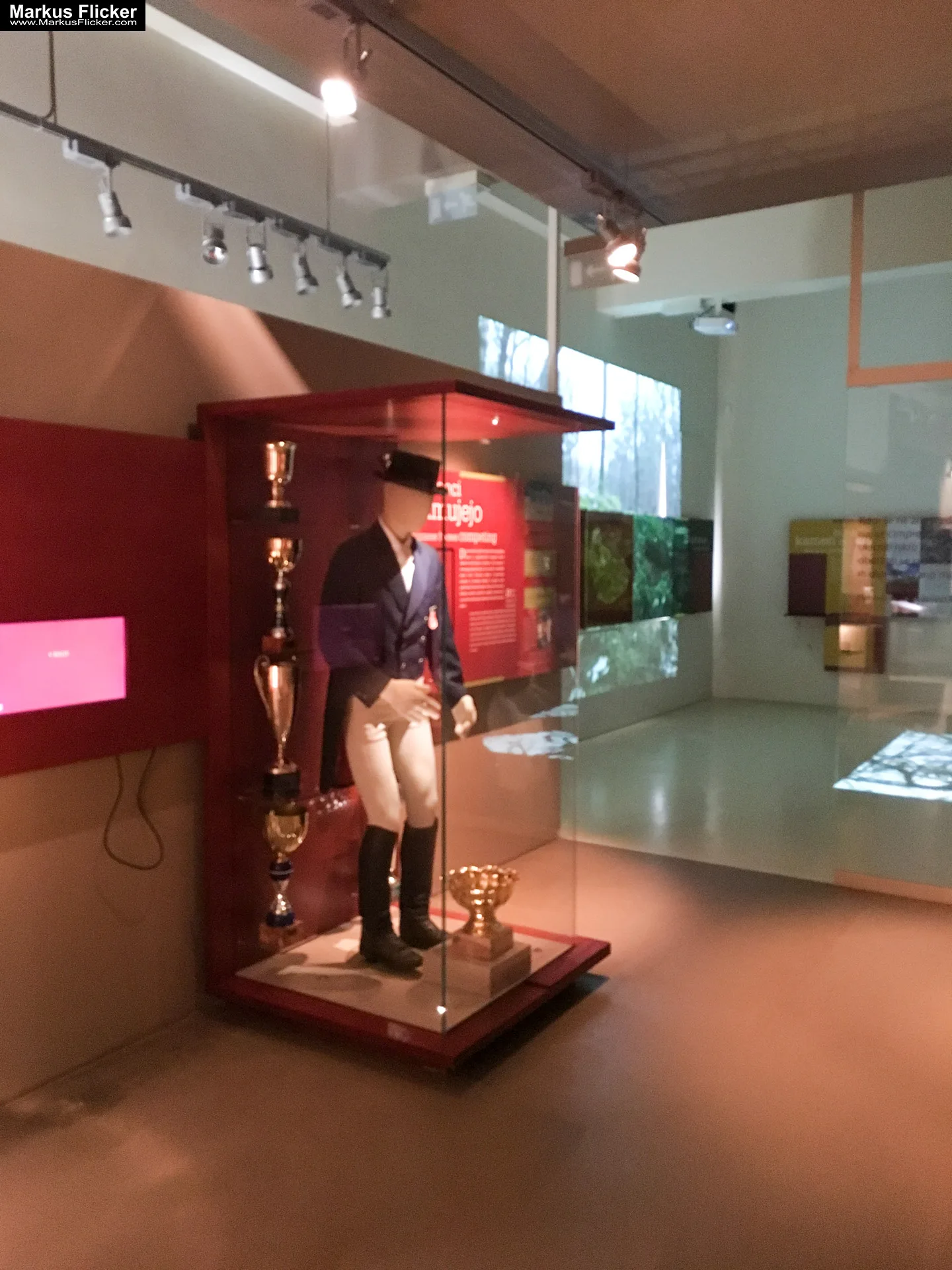 Gestüt Lipizza Kobilarna Lipica in Slowenien #visitslovenia Lipizzaner Pferde