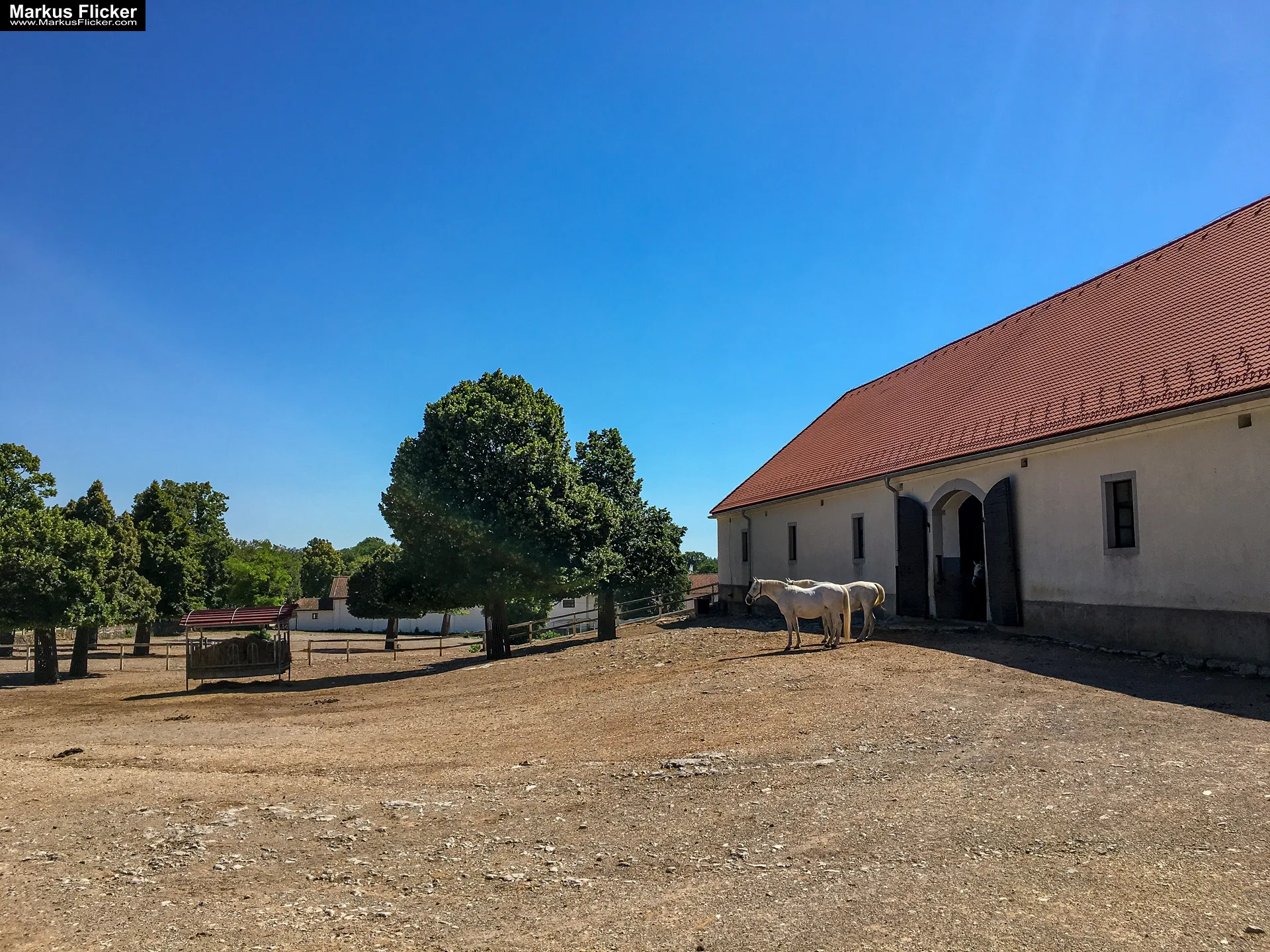 Gestüt Lipizza Kobilarna Lipica in Slowenien