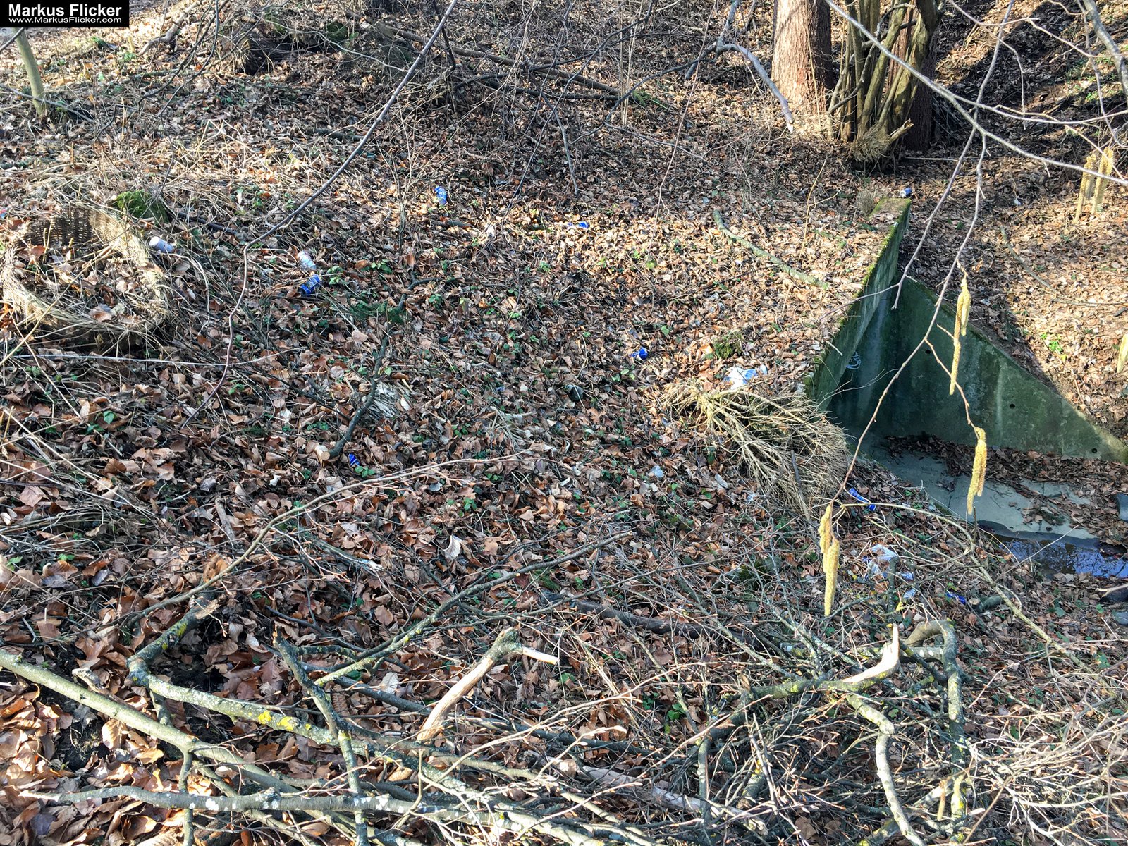 Eine kleine Reise in den eigenen 4 Wänden. Ein Spaziergang in meiner direkten Umgebung. Weiz. Steiermark. Reiseblog. Sucher suchen // Finder finden.