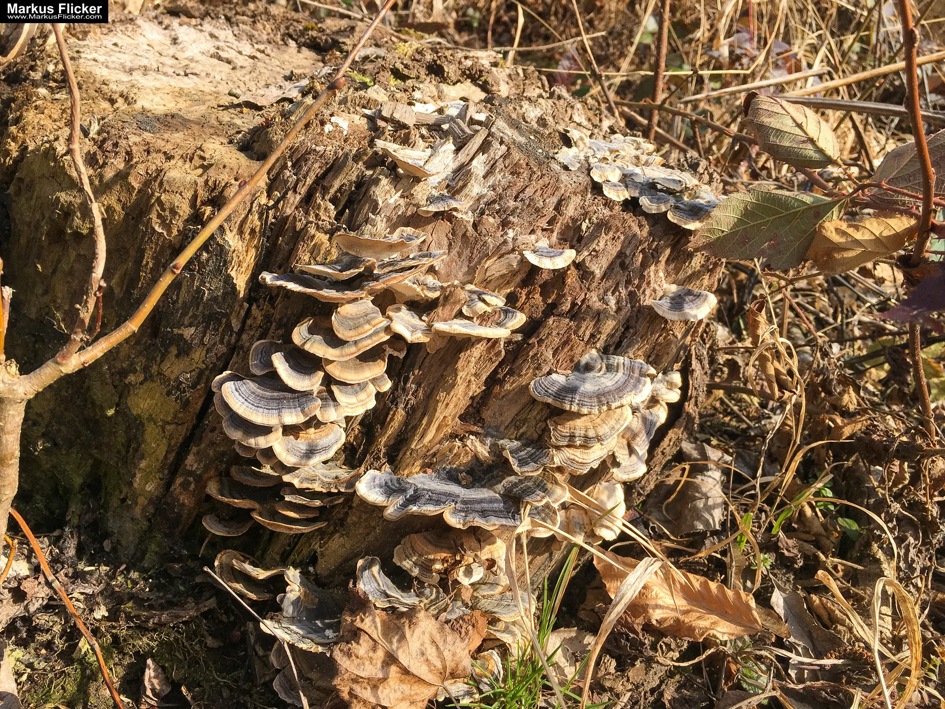 Eine kleine Reise in den eigenen 4 Wänden. Gedankenreise in gewohntem Umfeld. Komfortzone verlassen #GedankenZumLeben