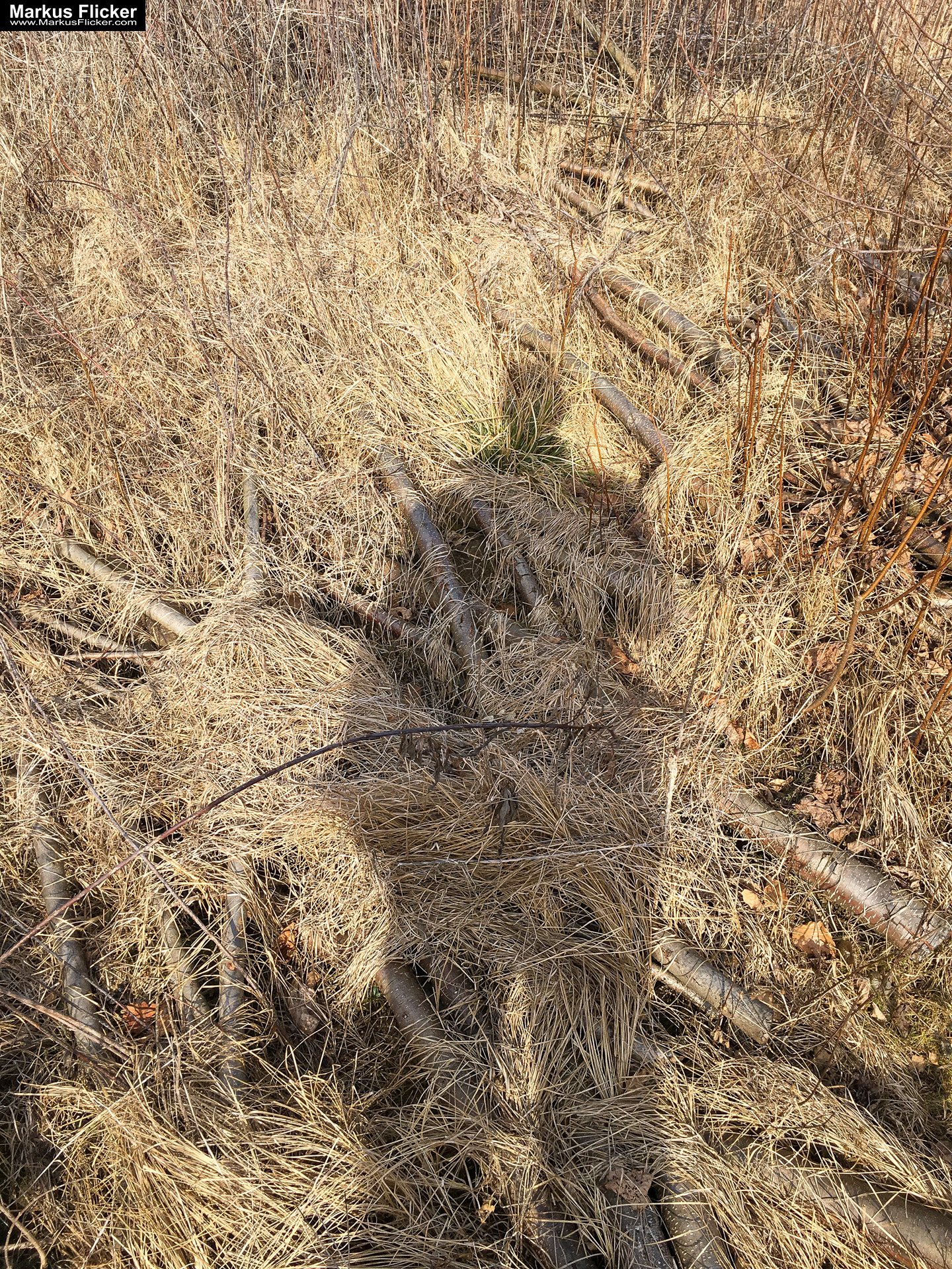 Eine kleine Reise in den eigenen 4 Wänden. Gedankenreise in gewohntem Umfeld. Komfortzone verlassen #GedankenZumLeben