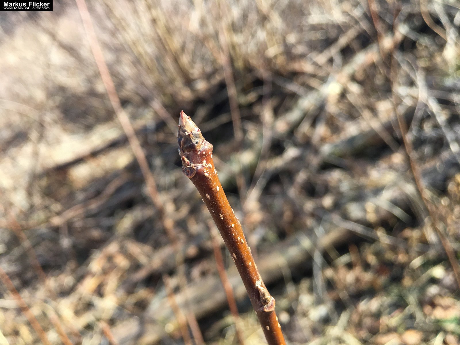 Eine kleine Reise in den eigenen 4 Wänden. Ein Spaziergang in meiner direkten Umgebung. Weiz. Steiermark. Reiseblog. Sucher suchen // Finder finden.