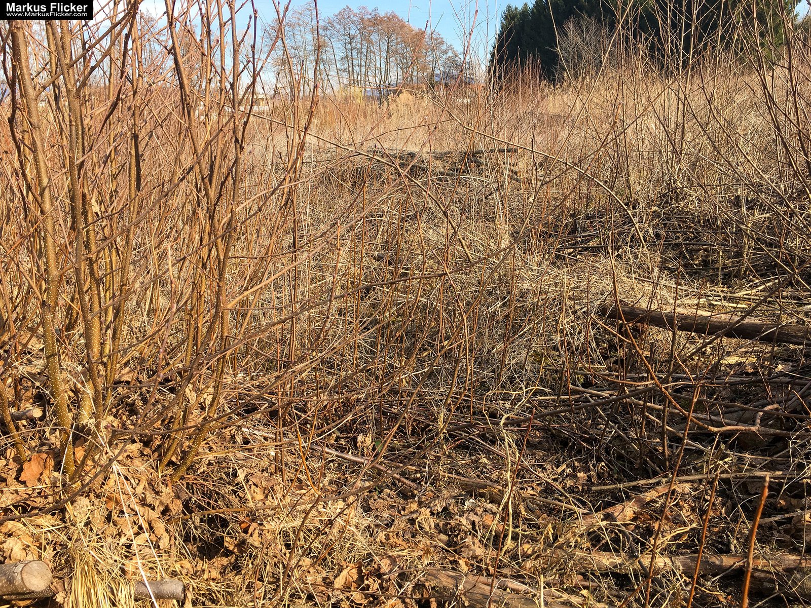 Eine kleine Reise in den eigenen 4 Wänden. Ein Spaziergang in meiner direkten Umgebung. Weiz. Steiermark. Reiseblog. Sucher suchen // Finder finden.