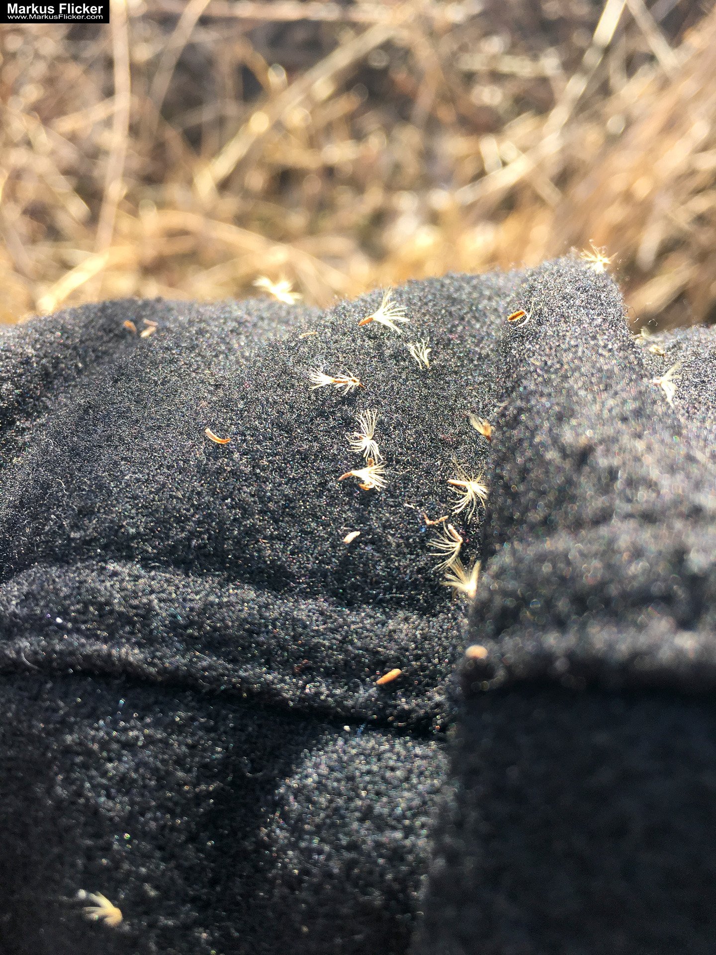 Eine kleine Reise in den eigenen 4 Wänden. Ein Spaziergang in meiner direkten Umgebung. Weiz. Steiermark. Reiseblog. Sucher suchen // Finder finden.