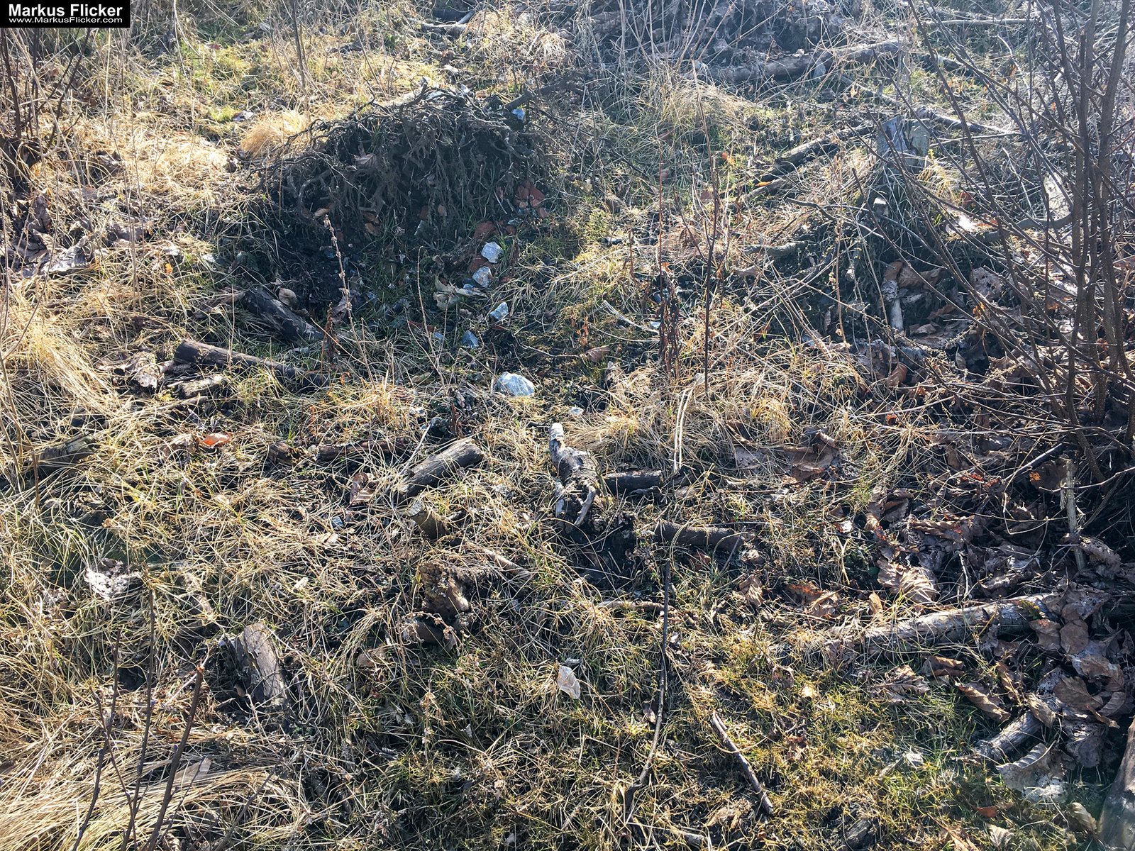 Eine kleine Reise in den eigenen 4 Wänden. Ein Spaziergang in meiner direkten Umgebung. Weiz. Steiermark. Reiseblog. Sucher suchen // Finder finden.