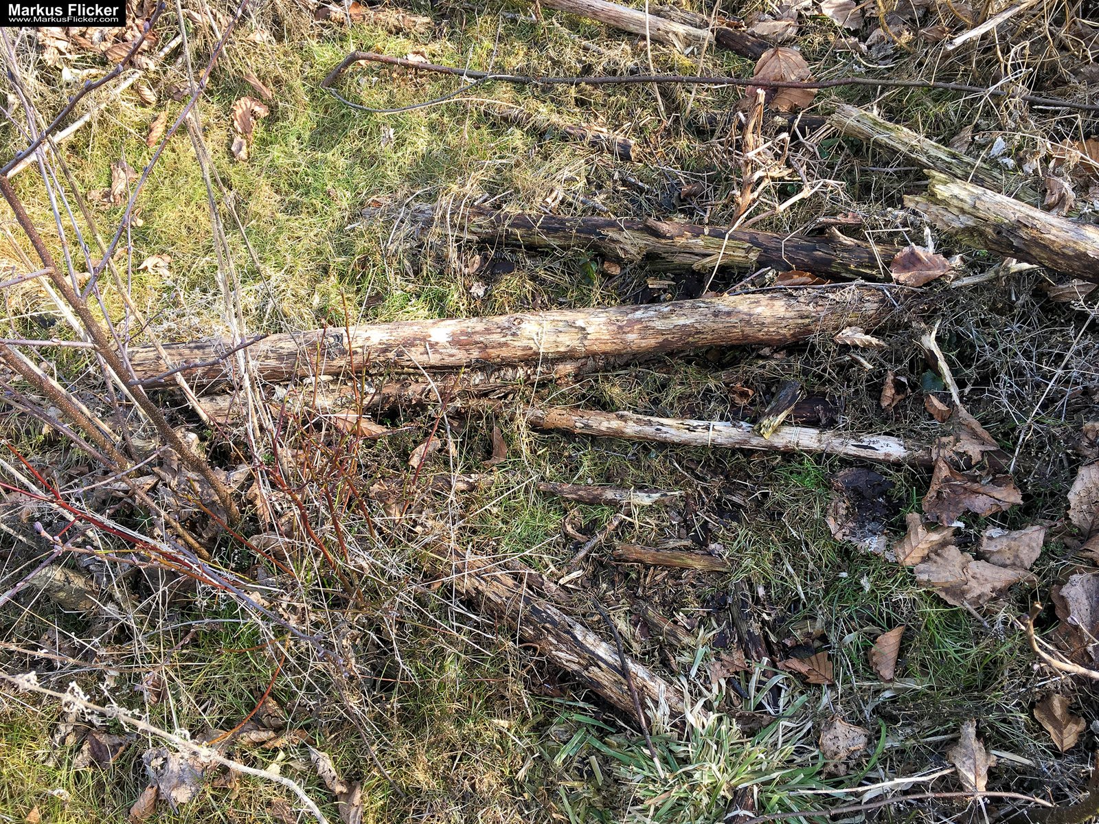 Eine kleine Reise in den eigenen 4 Wänden. Gedankenreise in gewohntem Umfeld. Komfortzone verlassen #GedankenZumLeben