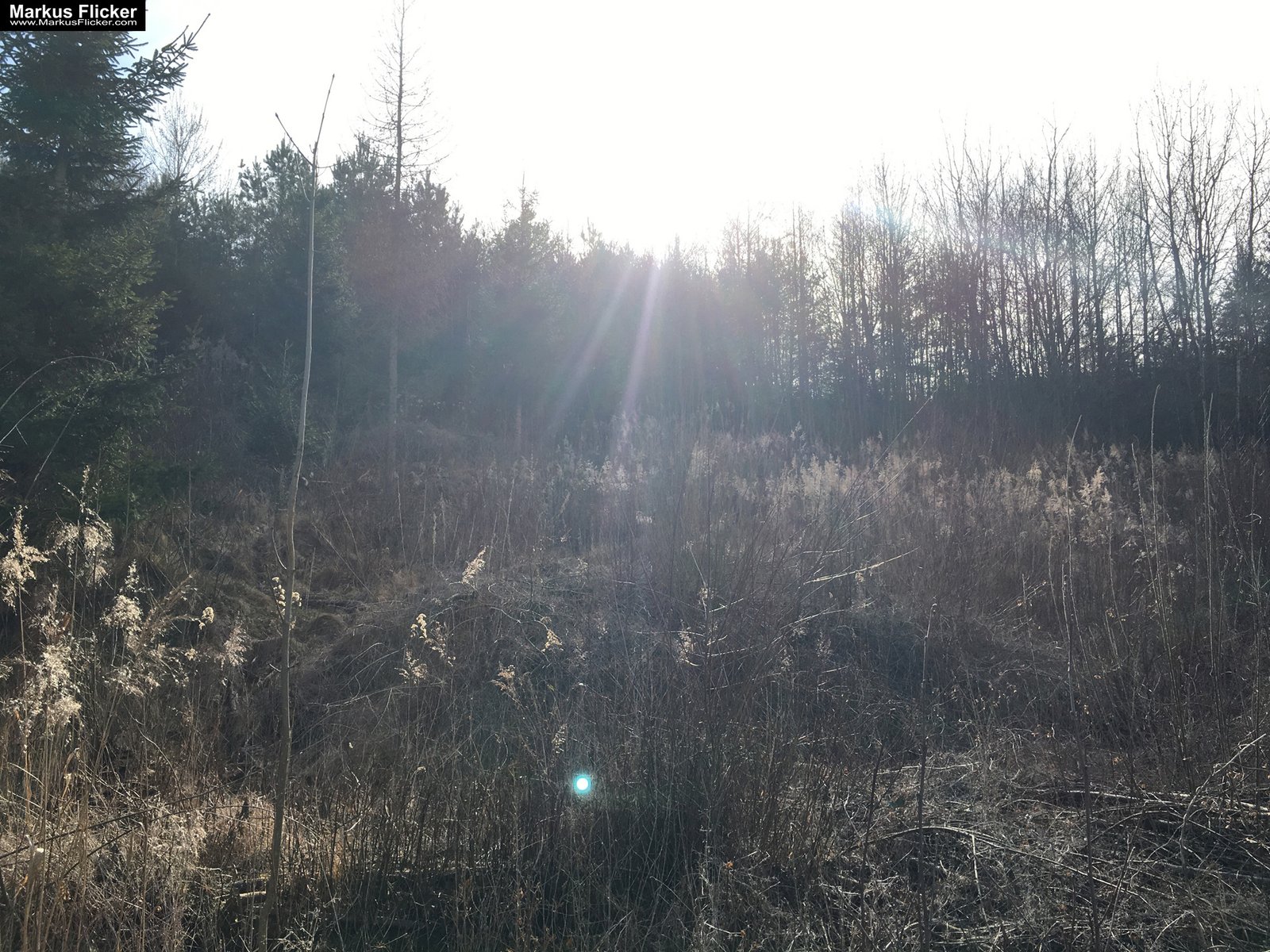 Eine kleine Reise in den eigenen 4 Wänden. Ein Spaziergang in meiner direkten Umgebung. Weiz. Steiermark. Reiseblog. Sucher suchen // Finder finden.