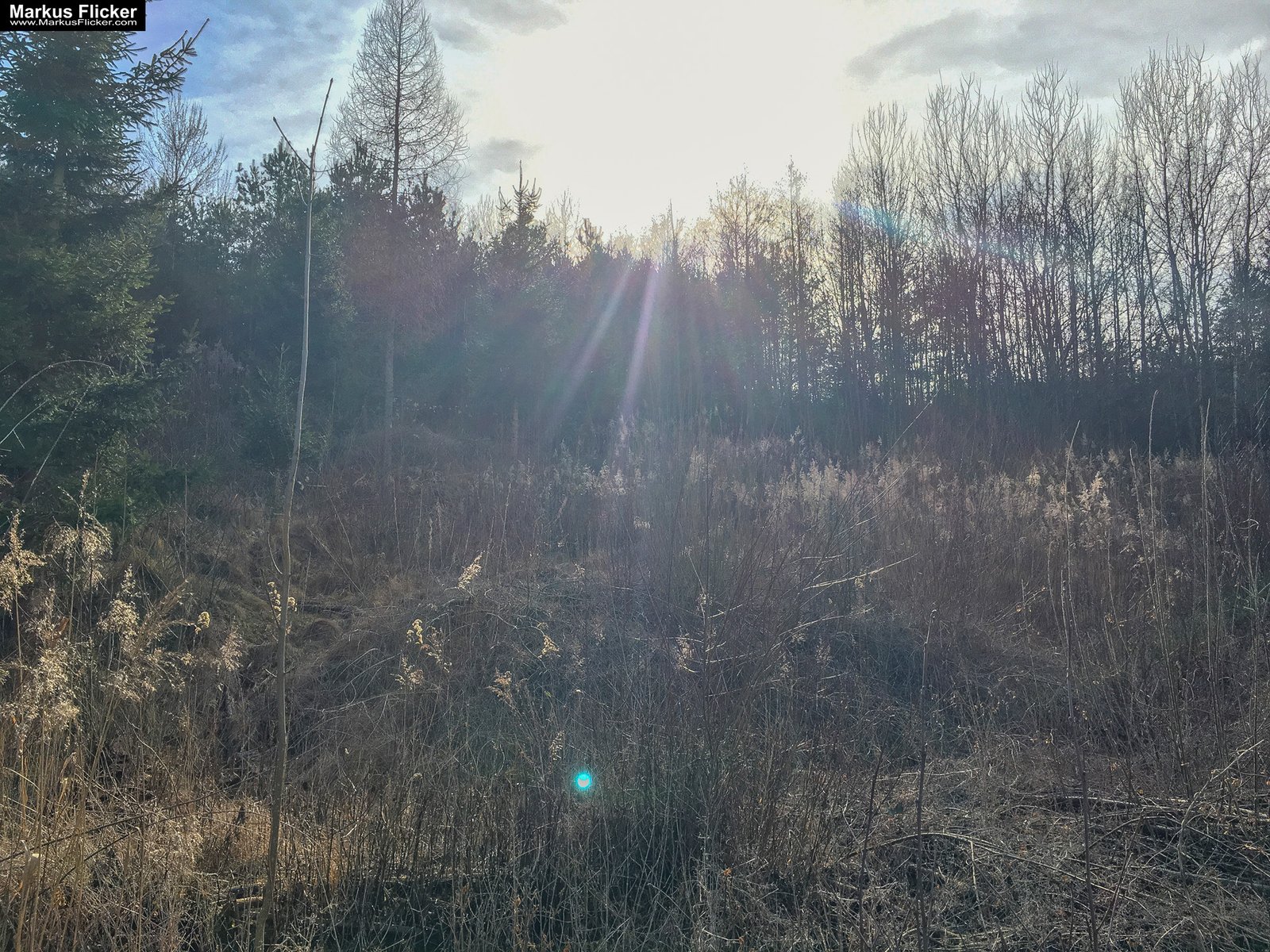 Eine kleine Reise in den eigenen 4 Wänden. Ein Spaziergang in meiner direkten Umgebung. Weiz. Steiermark. Reiseblog. Sucher suchen // Finder finden.