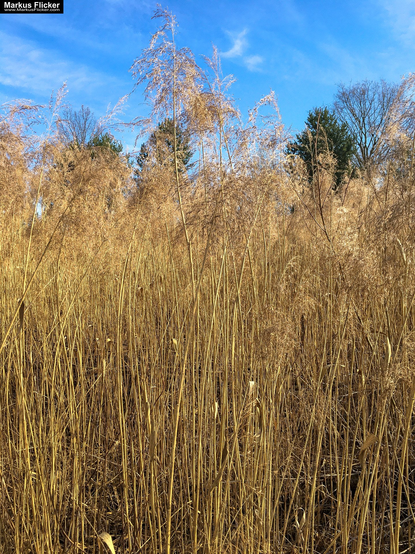 Eine kleine Reise in den eigenen 4 Wänden. Ein Spaziergang in meiner direkten Umgebung. Weiz. Steiermark. Reiseblog. Sucher suchen // Finder finden.