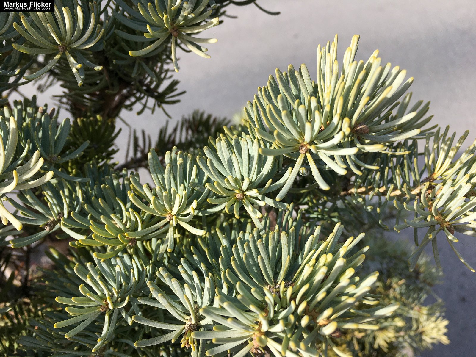 Eine kleine Reise in den eigenen 4 Wänden. Ein Spaziergang in meiner direkten Umgebung. Weiz. Steiermark. Reiseblog. Sucher suchen // Finder finden.