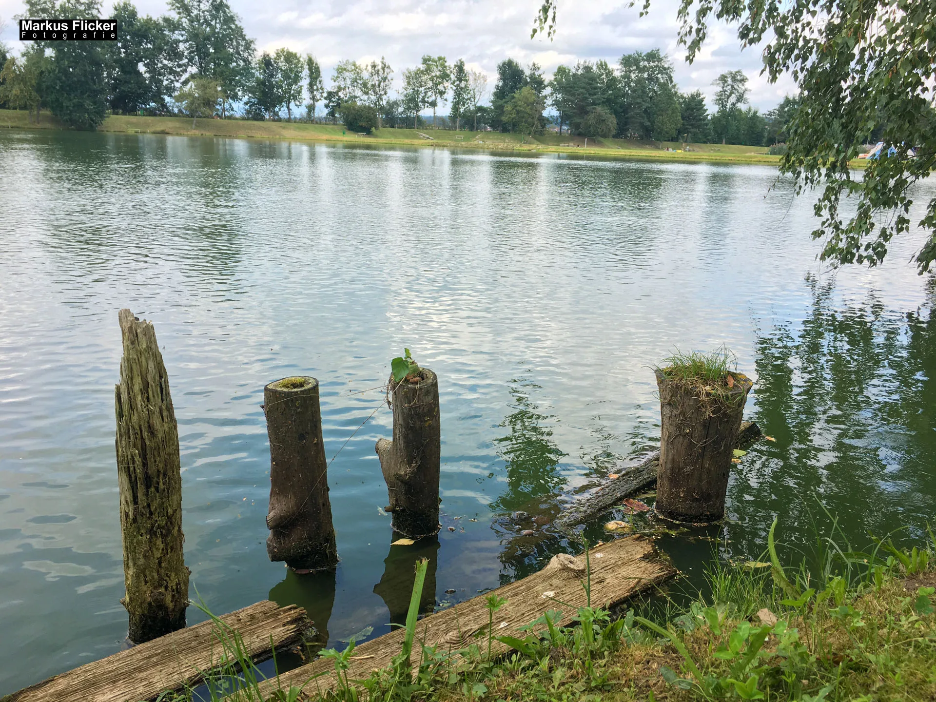 Freizeitzentrum Großsteinbach, Strandgut und Schachblume
