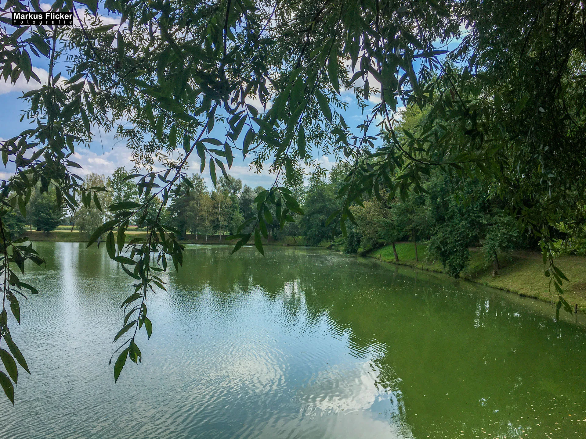 Freizeitzentrum Großsteinbach, Strandgut und Schachblume