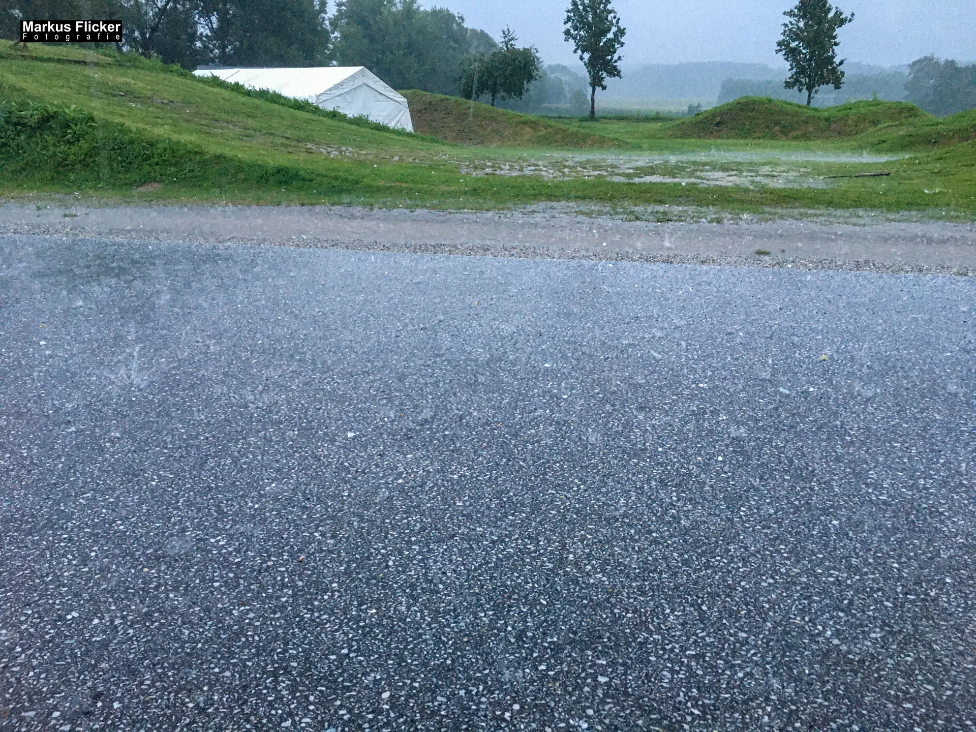Freizeitzentrum Großsteinbach, Strandgut und Schachblume