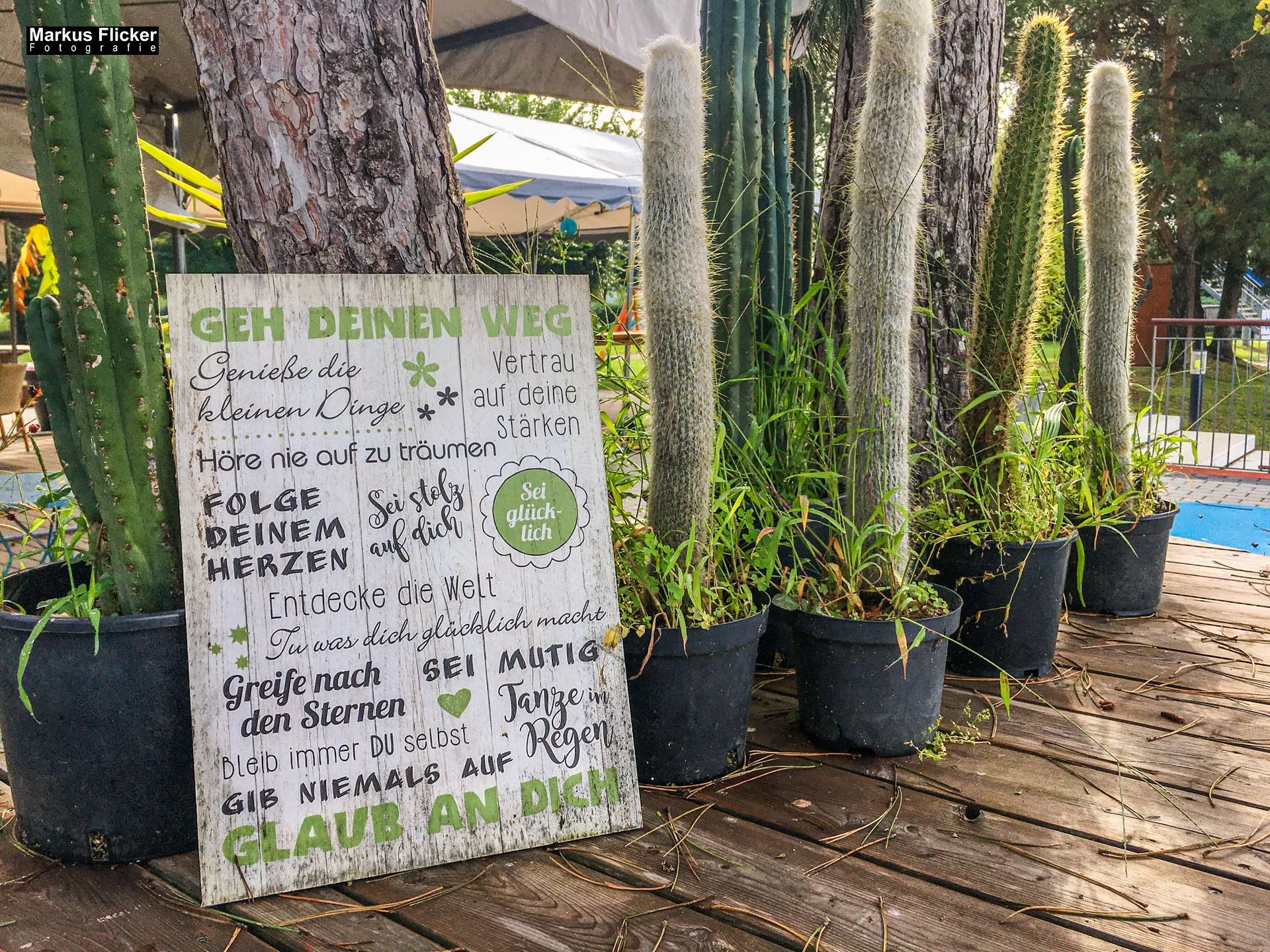 Freizeitzentrum Großsteinbach, Strandgut und Schachblume