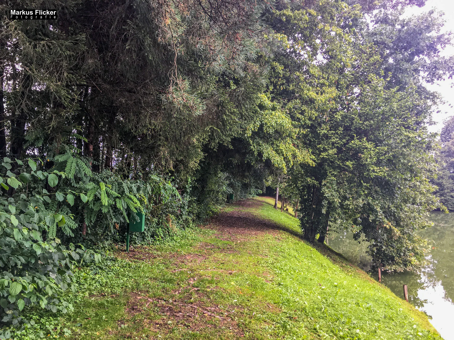 Freizeitzentrum Großsteinbach, Strandgut und Schachblume