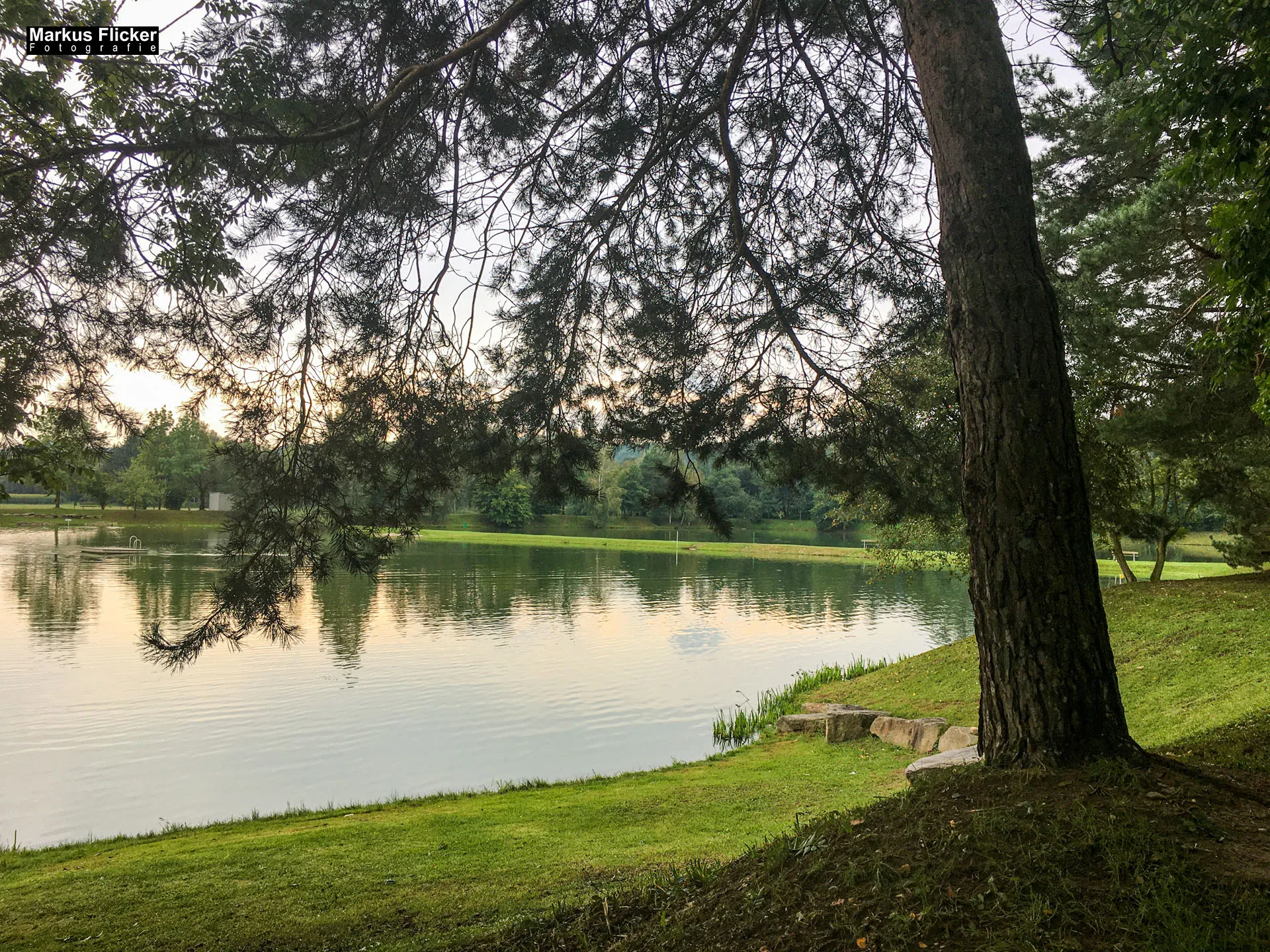 Freizeitzentrum Großsteinbach, Strandgut und Schachblume