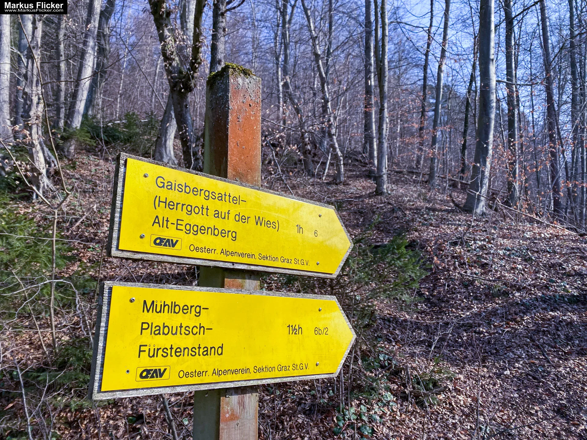 Thalersee Landeshauptstadt Graz Steiermark Österreich