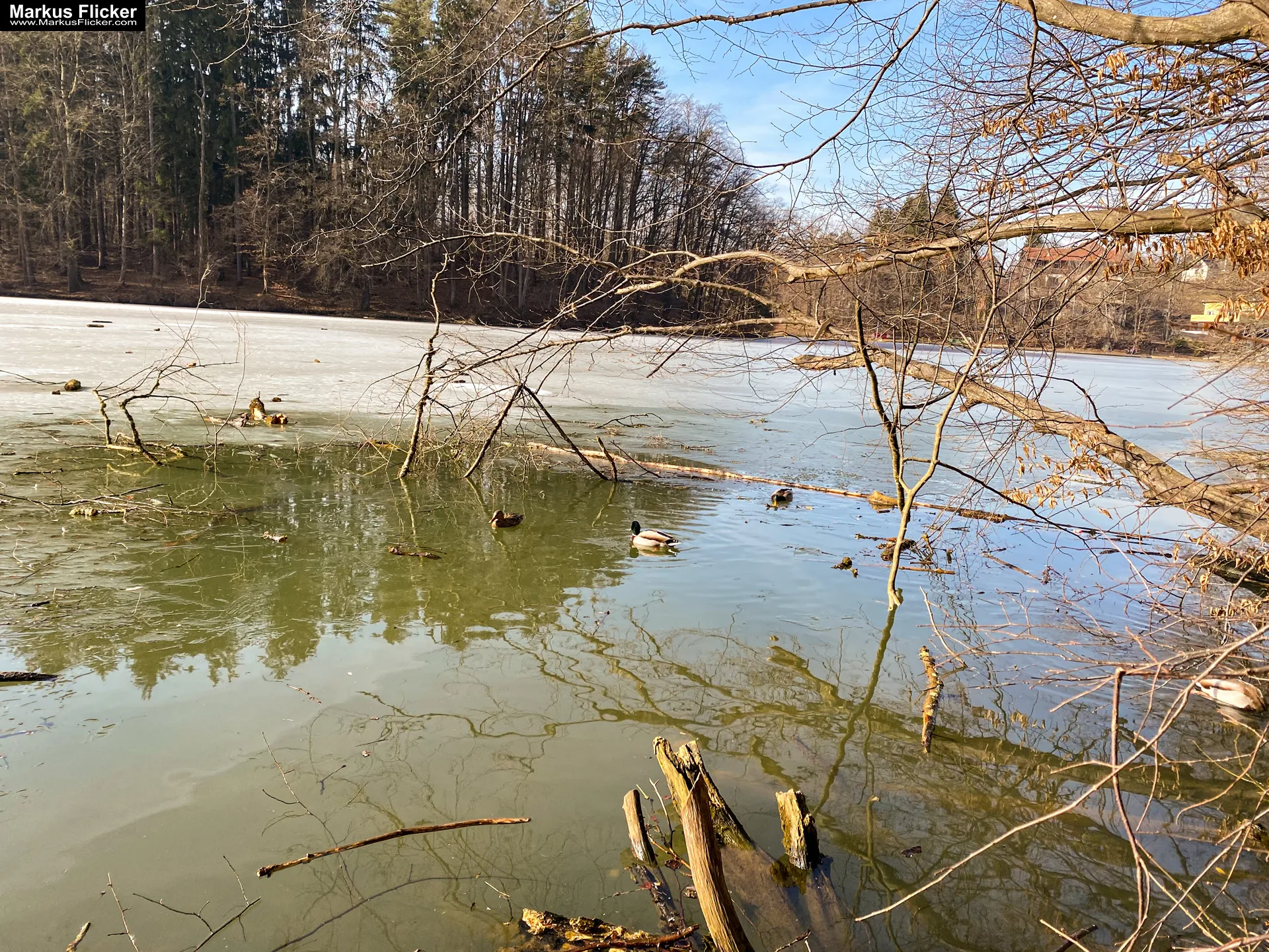 Thalersee Landeshauptstadt Graz Steiermark Österreich